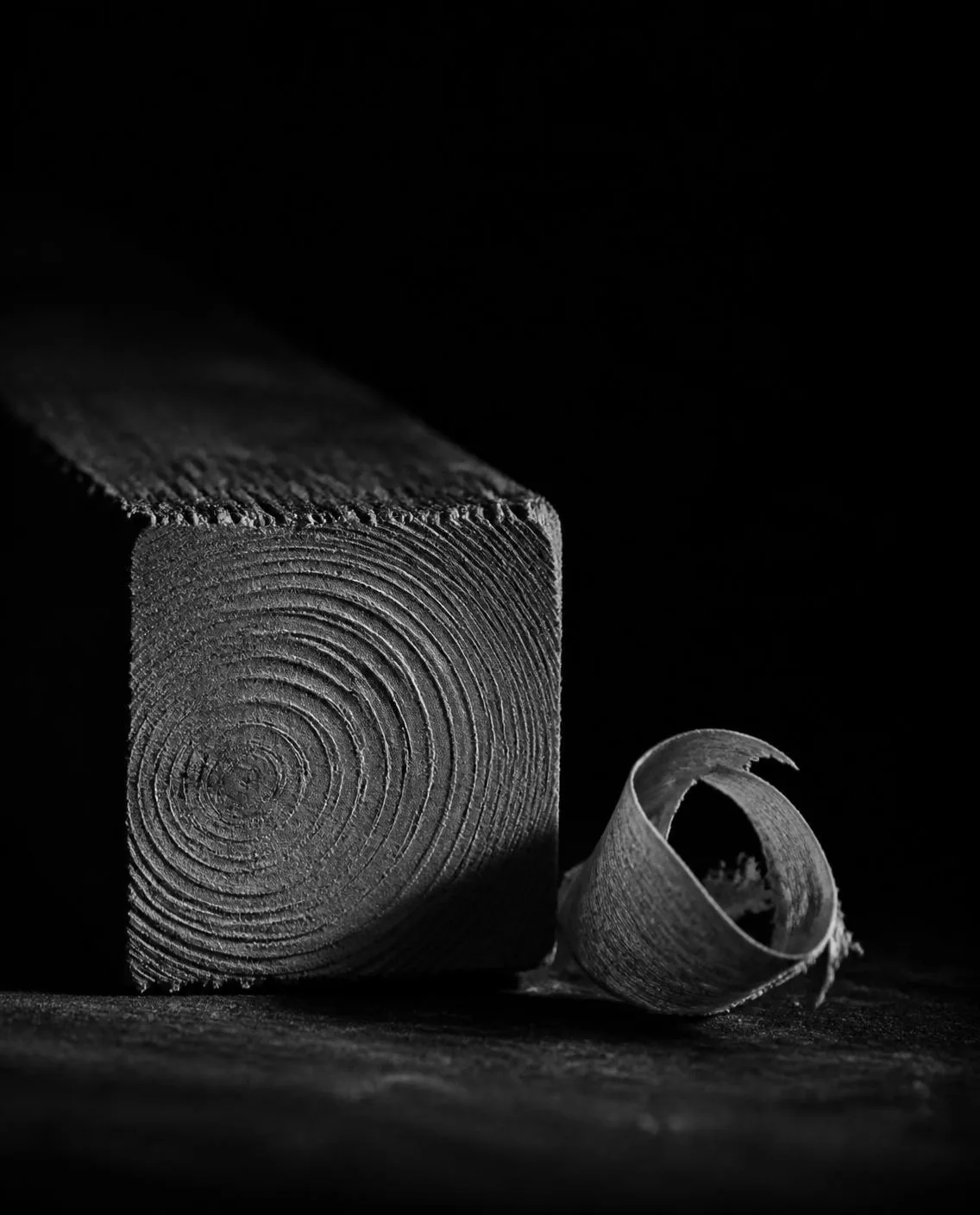 Cedar end grain and a curled shaving in raking light